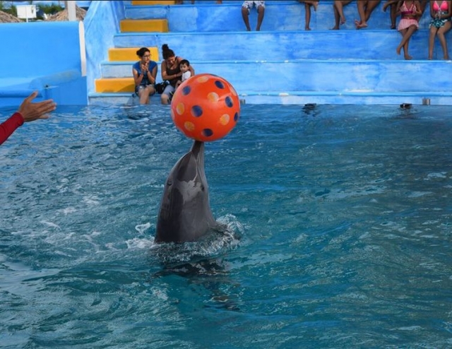 Juego de pelota